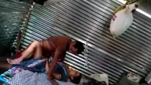 গ্রামের ভাবিকে ডেকে এনে টিনের ঘরে চুদলাম – ট্যাবু বাংলা XXX ভিডিও