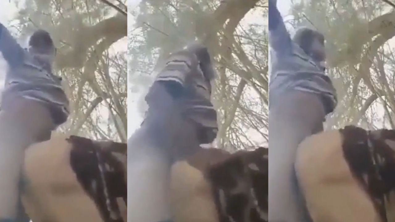 দাদুর সাথে বেটার বউয়ের জঙ্গলে ডগি স্টাইল অস্থির চুদাচুদি || Grandpa Son’s Wife Jungle Doggy Intense Fucking || Bangla XXX Video